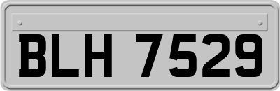 BLH7529