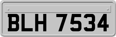 BLH7534