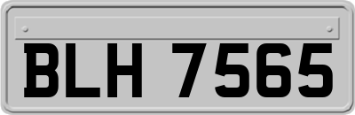 BLH7565