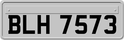 BLH7573