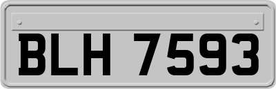 BLH7593