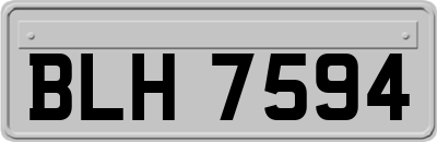 BLH7594