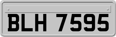 BLH7595