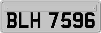 BLH7596