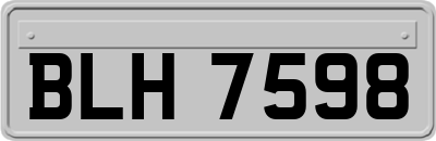 BLH7598