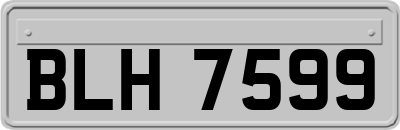 BLH7599