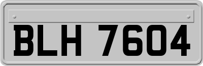 BLH7604