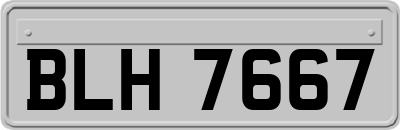 BLH7667
