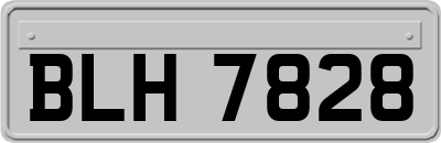 BLH7828