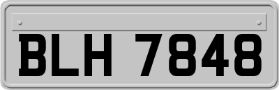 BLH7848
