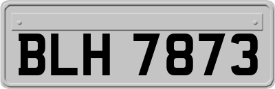 BLH7873