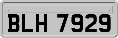 BLH7929