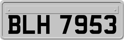 BLH7953