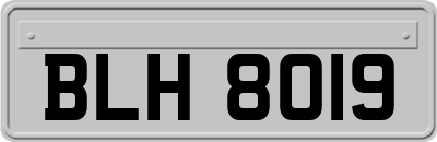 BLH8019