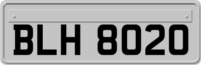 BLH8020