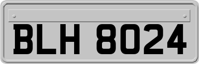 BLH8024