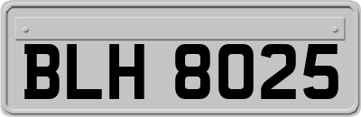 BLH8025