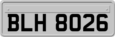 BLH8026