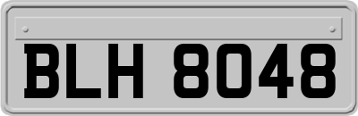 BLH8048