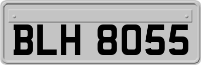 BLH8055