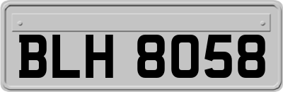 BLH8058