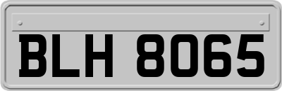 BLH8065
