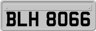 BLH8066