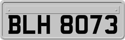 BLH8073