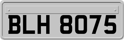 BLH8075