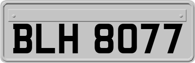 BLH8077