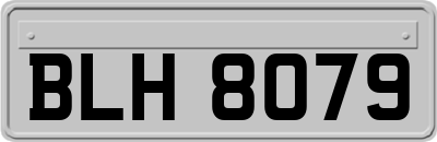 BLH8079