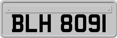 BLH8091