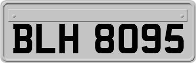 BLH8095