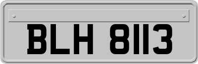 BLH8113