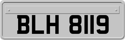 BLH8119