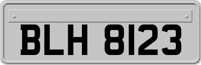 BLH8123