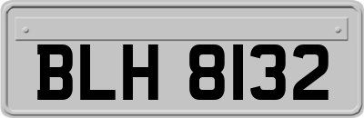 BLH8132