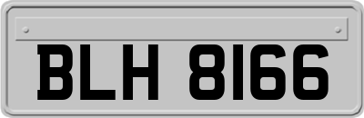 BLH8166