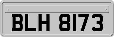 BLH8173