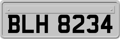 BLH8234
