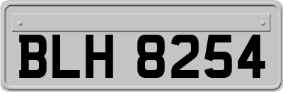 BLH8254