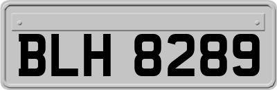 BLH8289