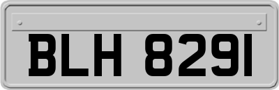 BLH8291