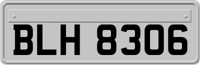 BLH8306