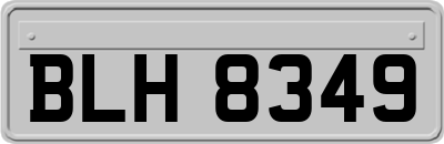 BLH8349