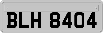 BLH8404