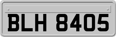 BLH8405