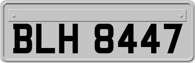 BLH8447