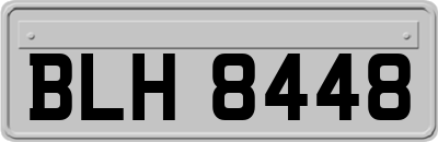 BLH8448