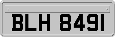 BLH8491